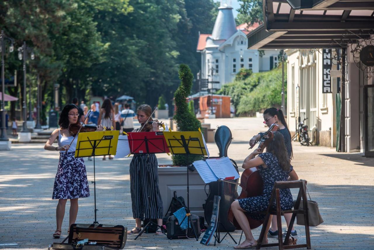 Vila Emilia Vrnjačka Banja Eksteriør billede